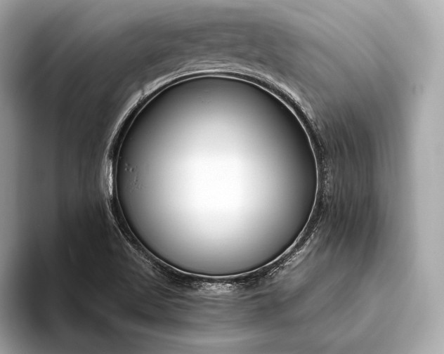 X0000094081509200711021504