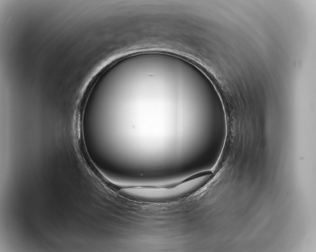 X0000094081510200711021504