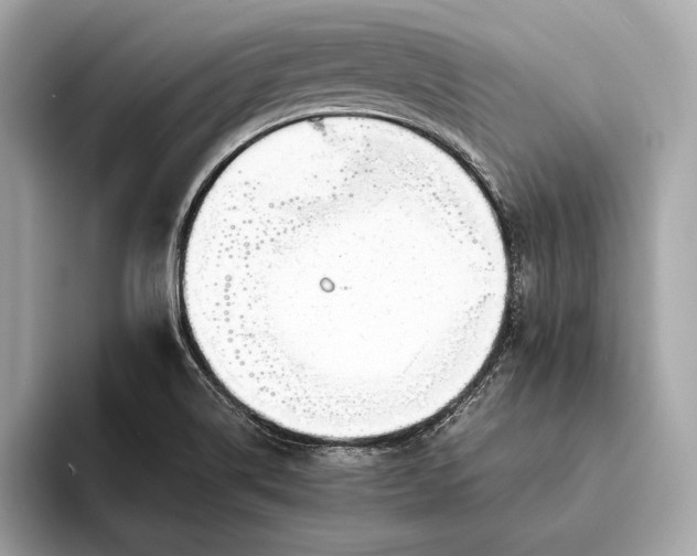 X0000094081514200711021504