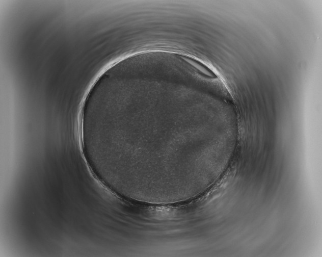 X0000094081515200711021504