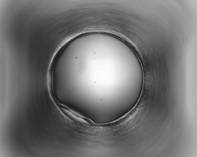 X0000094081517200711021504