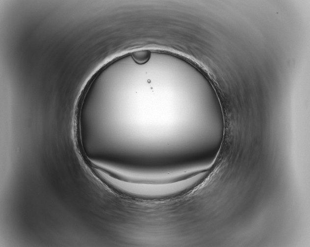 X0000094081518200711021504