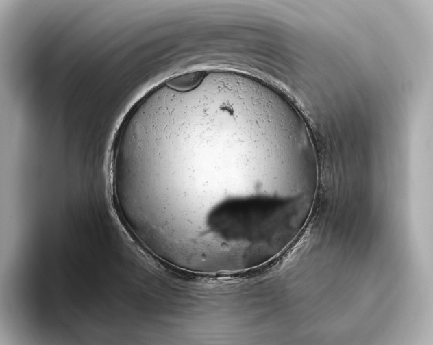 X0000094081522200711021504