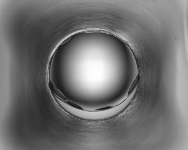 X0000094081524200711021504