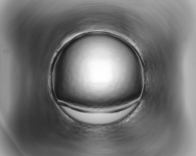 X0000094081525200711021504