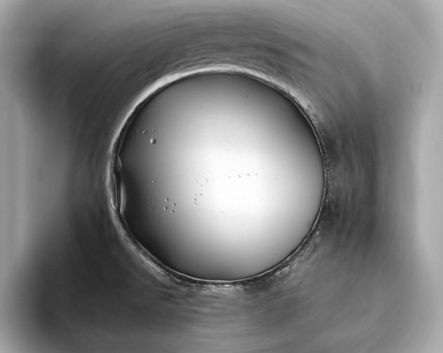 X0000094081526200711021504