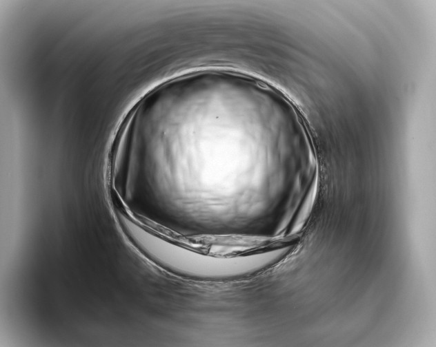 X0000094081527200711021504