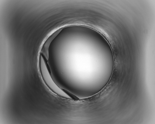 X0000094081528200711021504