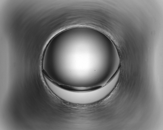 X0000094081530200711021504