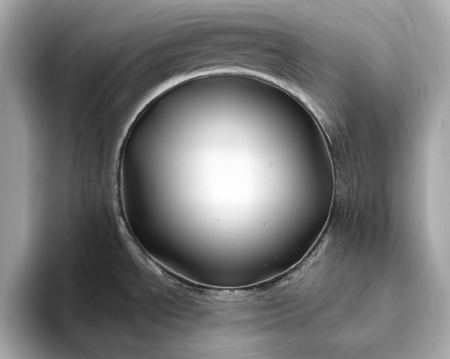 X0000094081534200711021504