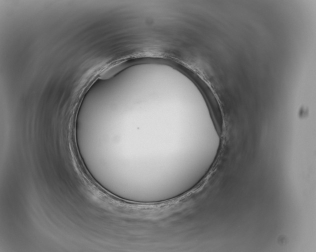X0000094080001200711091226