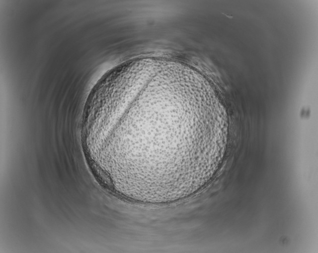 X0000094080003200711091226