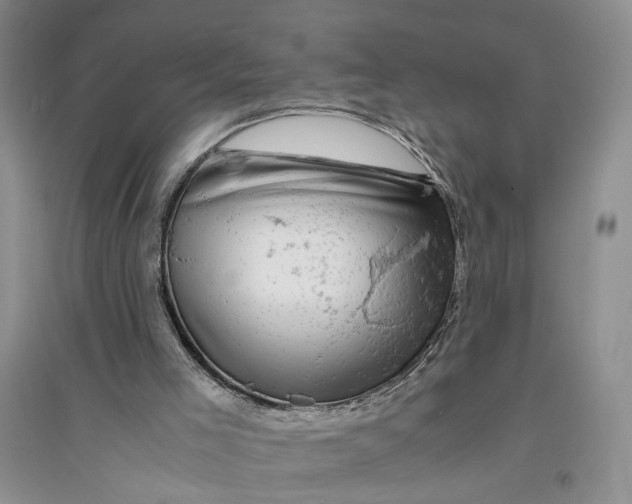 X0000094080005200711091225