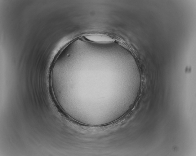 X0000094080006200711091225