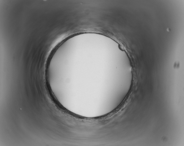 X0000094080008200711091225