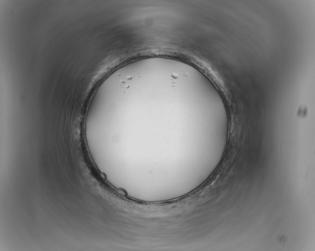 X0000094080010200711091225