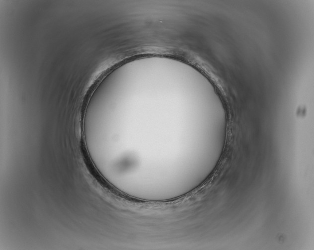 X0000094080011200711091225