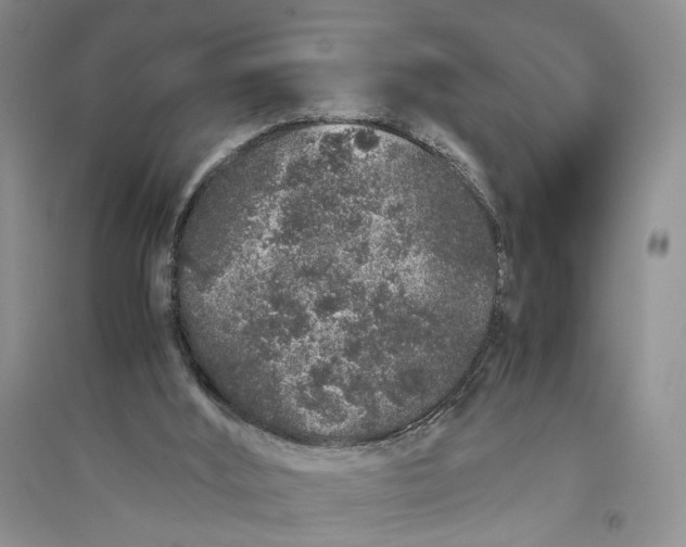 X0000094080012200711091225