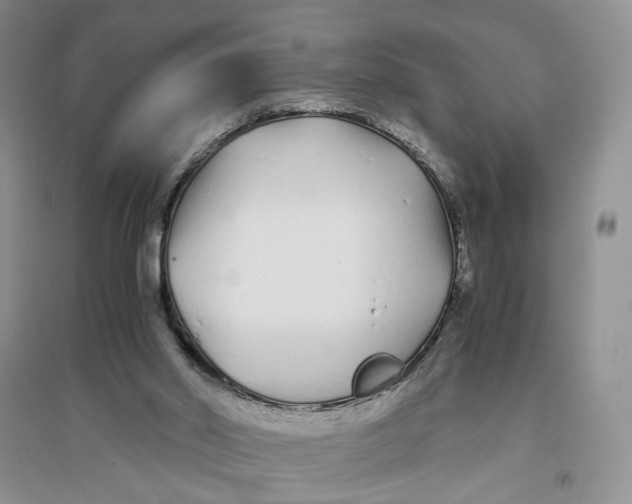 X0000094080014200711091225