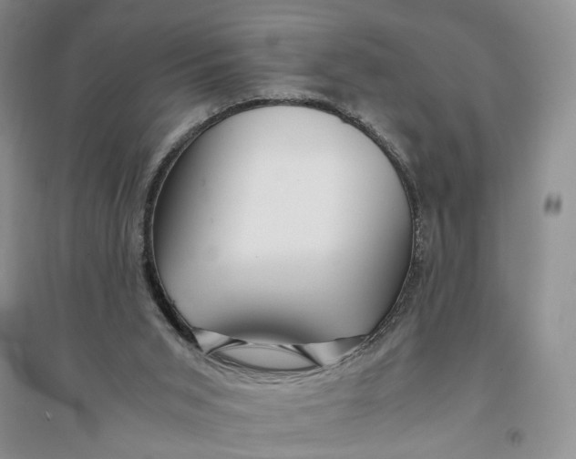 X0000094080015200711091225