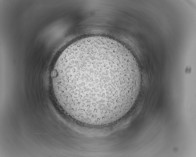 X0000094080016200711091225