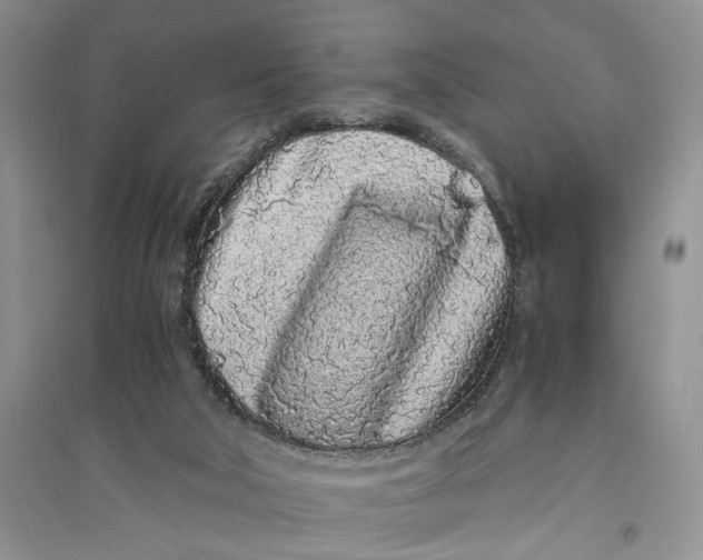 X0000094080018200711091225