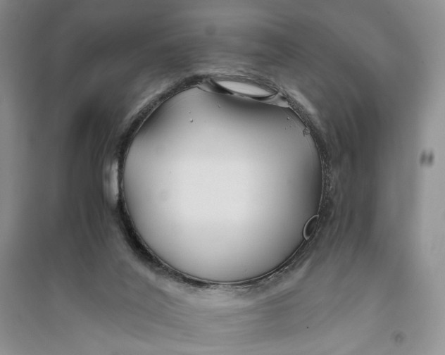 X0000094080020200711091225