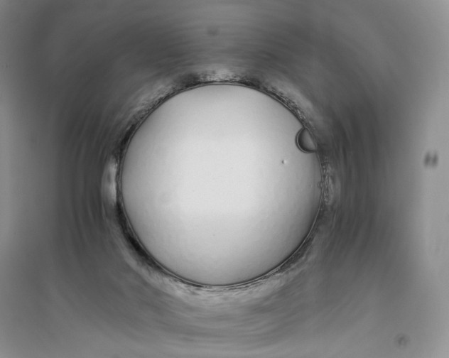 X0000094080022200711091225