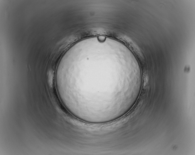 X0000094080026200711091225
