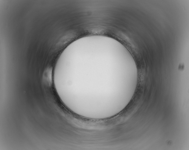 X0000094080028200711091225