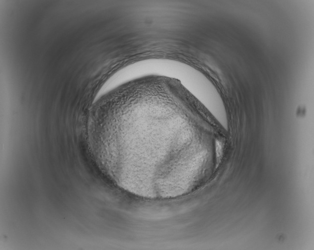 X0000094080029200711091225