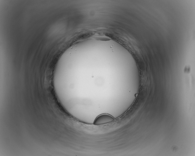 X0000094080030200711091225