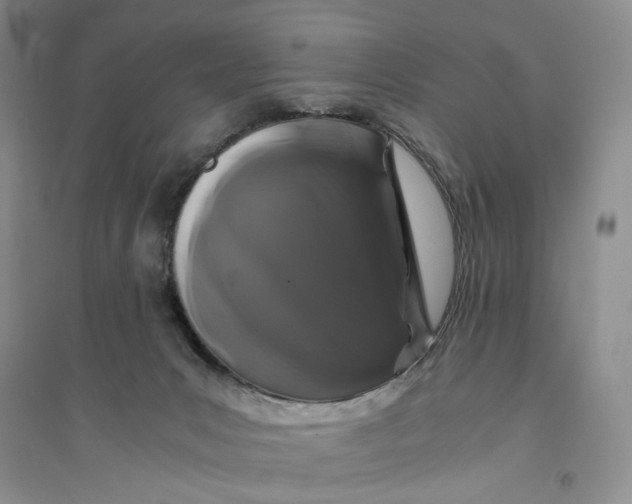 X0000094080031200711091225