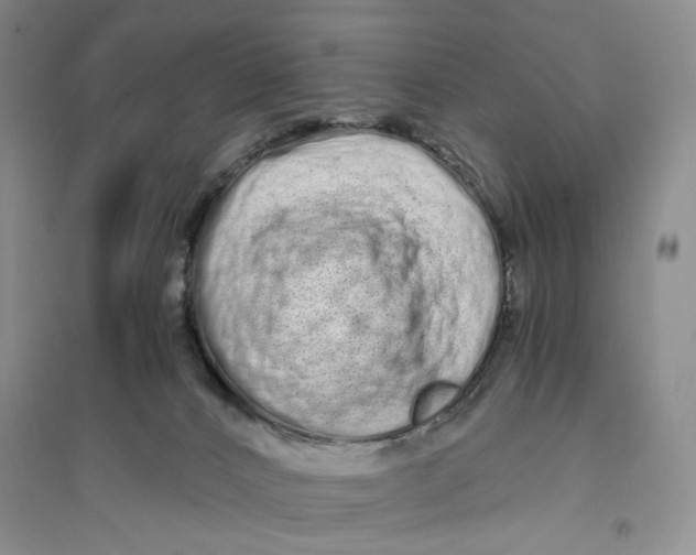 X0000094080032200711091225