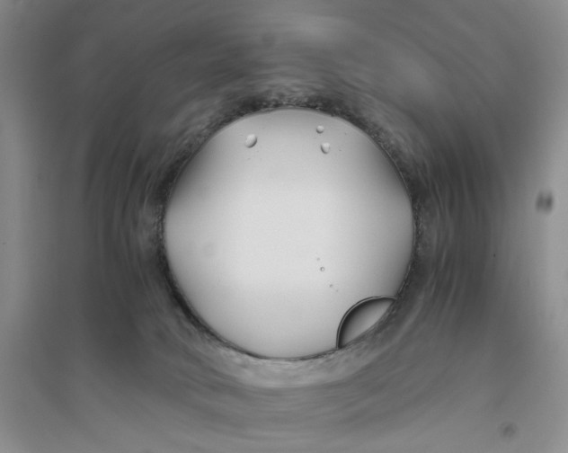 X0000094080034200711091225