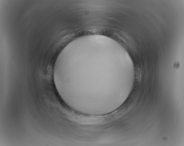 X0000094080036200711091225