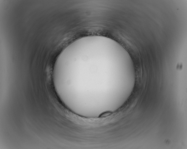 X0000094080038200711091225