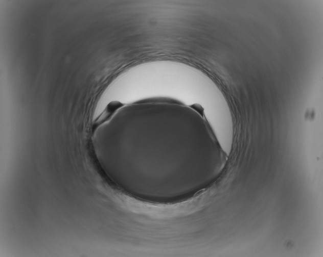 X0000094080039200711091225