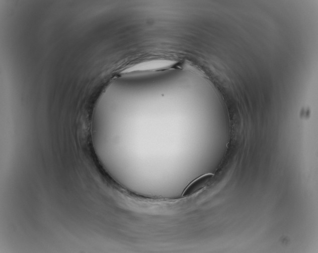 X0000094080040200711091225
