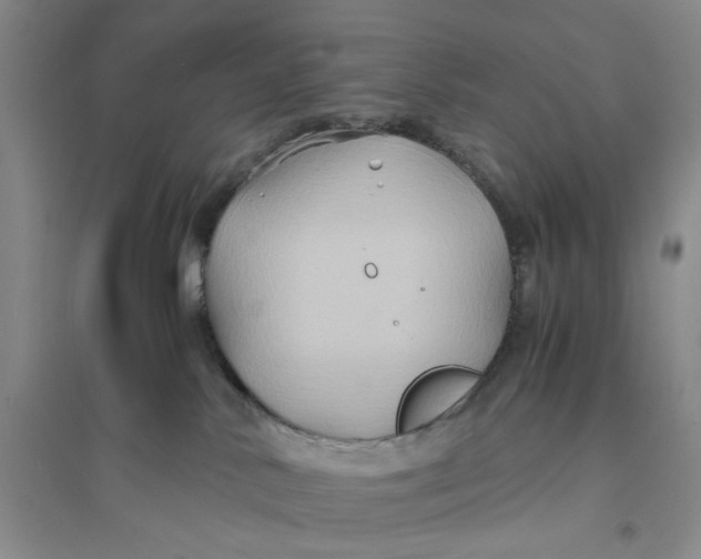 X0000094080042200711091225