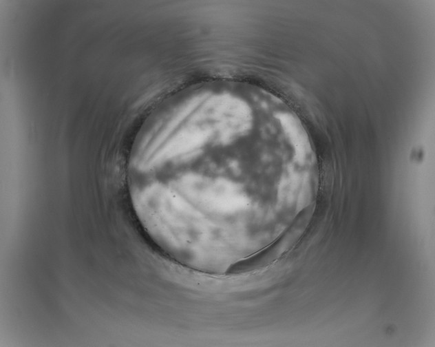 X0000094080043200711091225