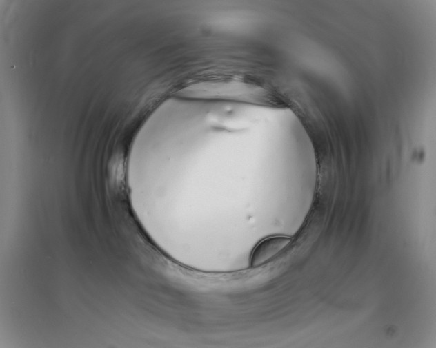 X0000094080046200711091225