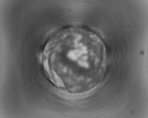 X0000094080047200711091225