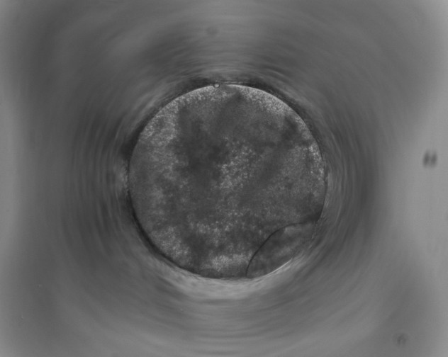 X0000094080048200711091225