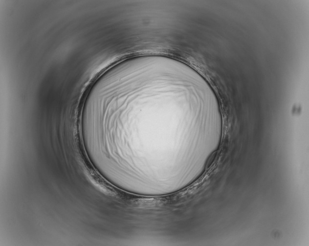 X0000094080050200711091224