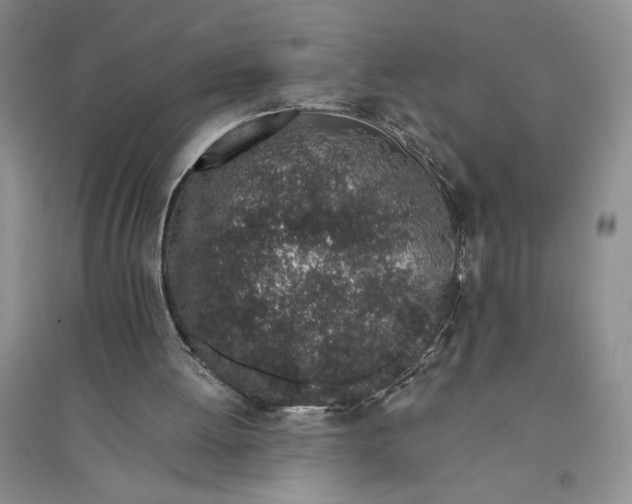 X0000094080052200711091224