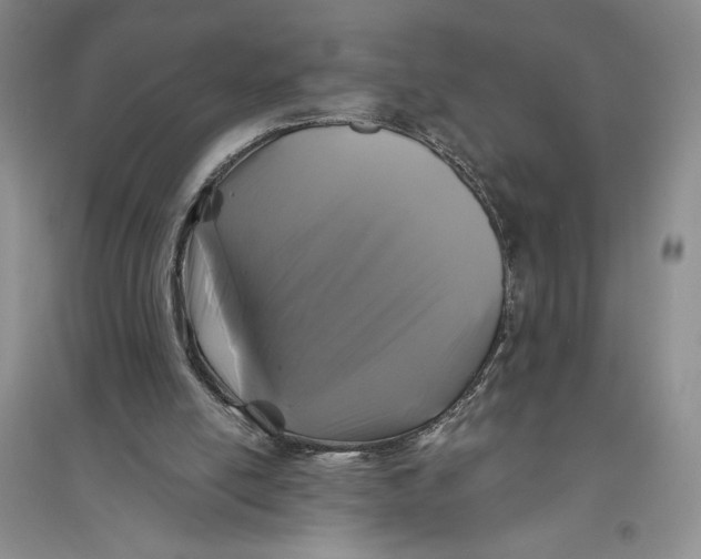 X0000094080054200711091224