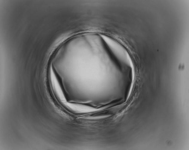 X0000094080055200711091224