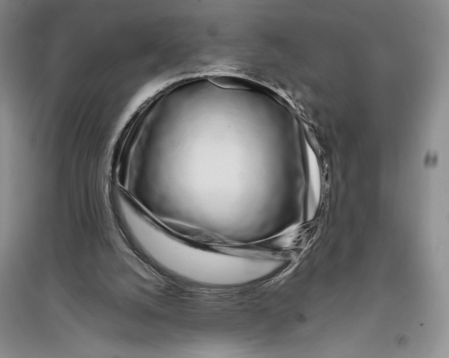 X0000094080056200711091224