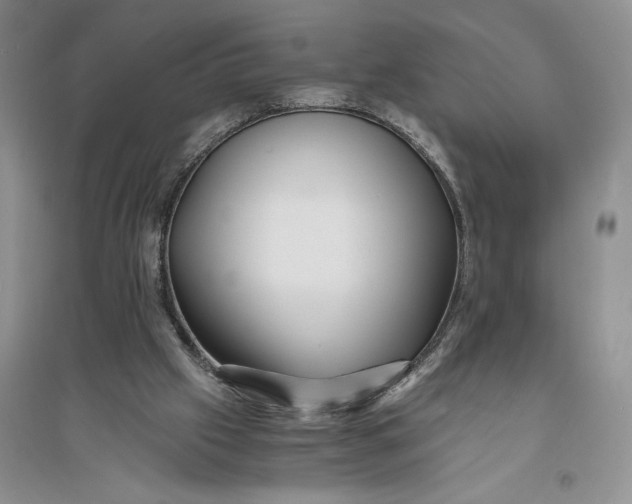 X0000094080057200711091224